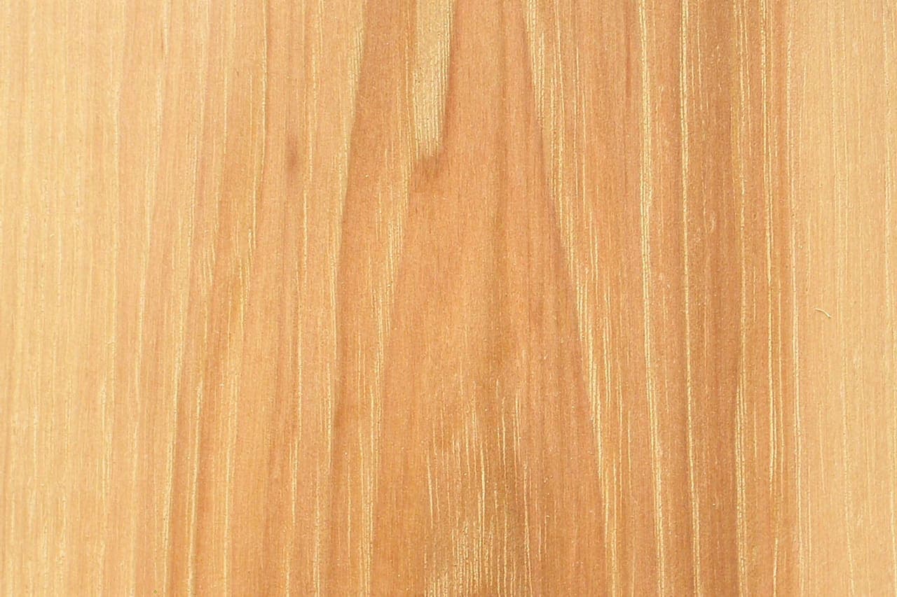 Hickory