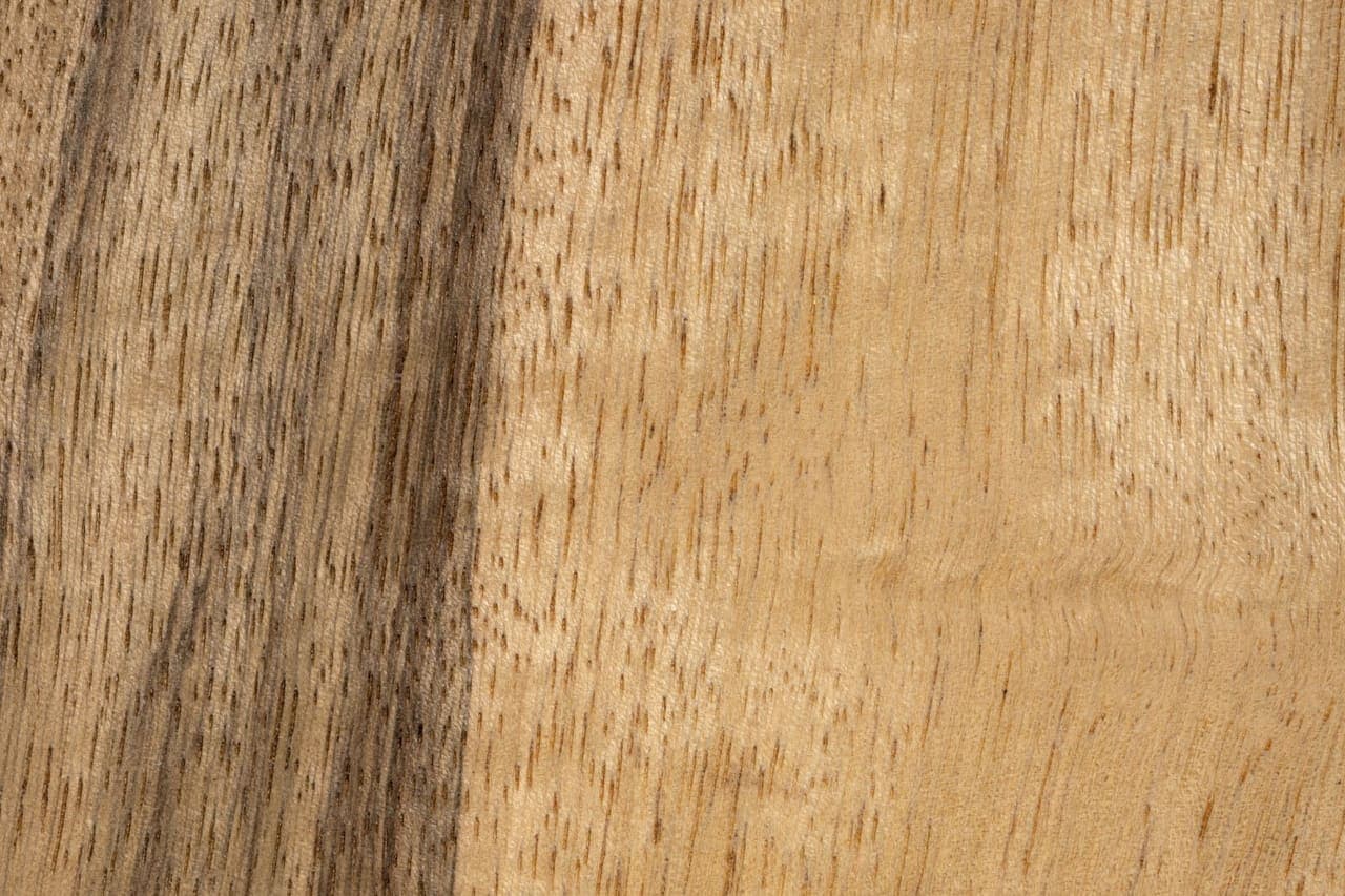 Limba